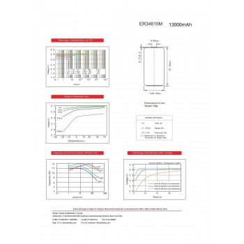 FANSO ER34615M 3,6 V 13000 mAh ličio akumuliatorius - LiSOCL2, D, LSH20, SB-D02/TC, SL-780/S, TL-4930, TL-5930