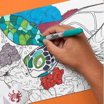 Sharpie Fine 20 spalvų rinkinys su dažų maišeliu