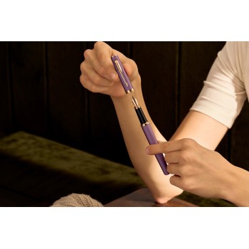 Parker Meridian plunksnakotis, violetinis, PGT (F) – 2247762